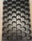Tray zaai / stekbak 30 x 51cm 5,2 cm diameter 51 gaatjes