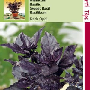 Basilicum Rode - Dark Opal - inh.: 1