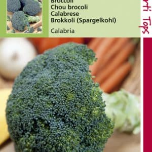 Broccoli Calabria zaden te koop op Moestuinweetjes.com