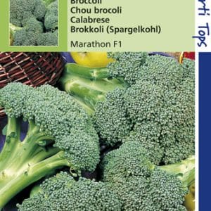 Broccoli Marathon F1 zaden te koop op Moestuinweetjes.com