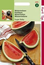 Watermeloenen Sugar Baby te koop op Moestuinweetjes.com