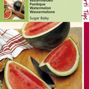 Watermeloenen Sugar Baby te koop op Moestuinweetjes.com