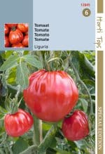 Tomatenzaad Liguria 25 zaden