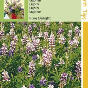 Lupinen Pixie Delight te koop op Moestuinweetjes.com