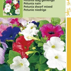 Petunia gemengd zaden te koop op Moestuinweetjes.com