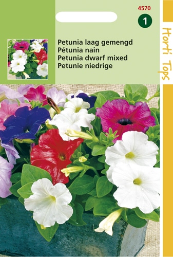 Petunia gemengd zaden te koop op Moestuinweetjes.com