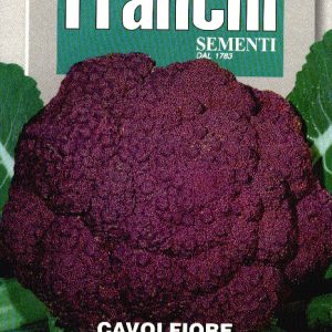 Franchi Bloemkool Violet Cavolfiore Sicilia Violetto