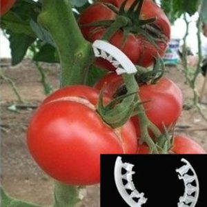 trosboog clips voor tomaten