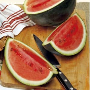Watermeloen zaad
